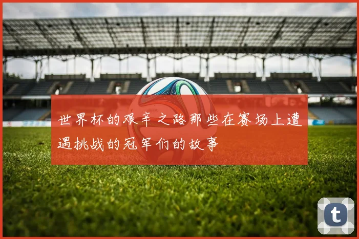 世界杯的艰辛之路那些在赛场上遭遇挑战的冠军们的故事